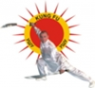 Логотип компании Федерация спортивного ушу Анапы