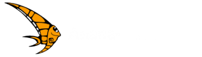 Логотип компании Анапа-Серфинг