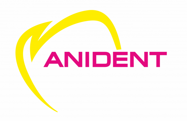 Логотип компании Анидент