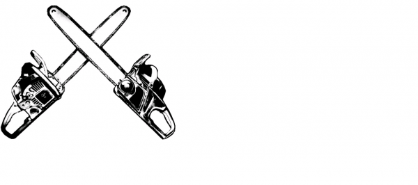 Логотип компании Мастерская по ремонту бензоинструмента