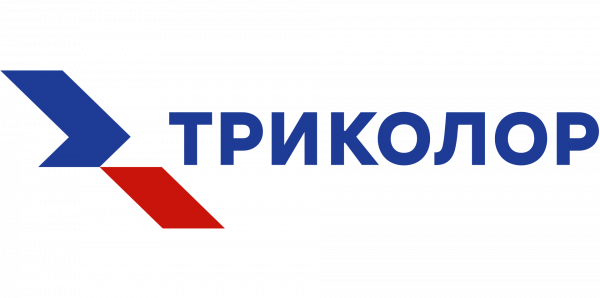Логотип компании Телесфера ТМ